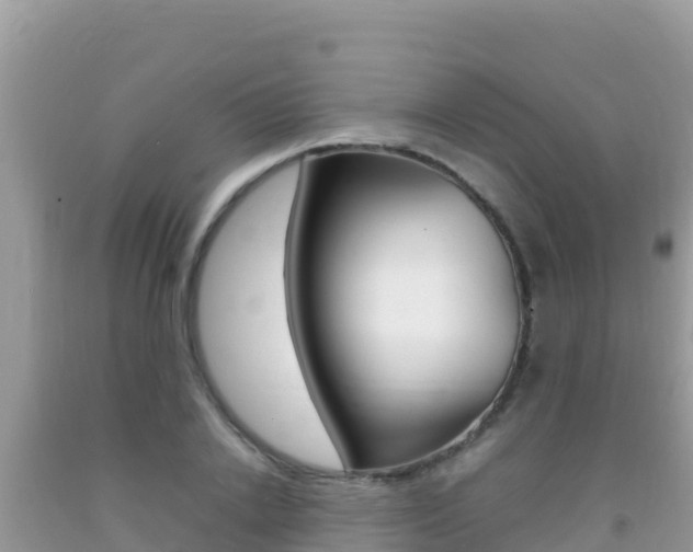 X0000092230838200709140940