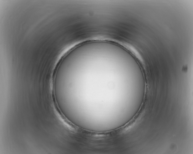 X0000092230839200709140940