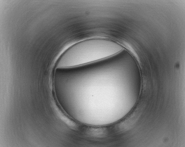 X0000092230843200709140940