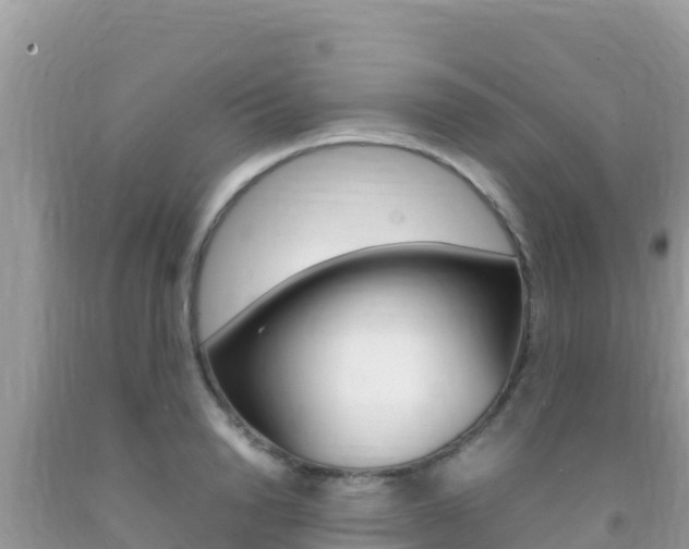 X0000092230846200709140940