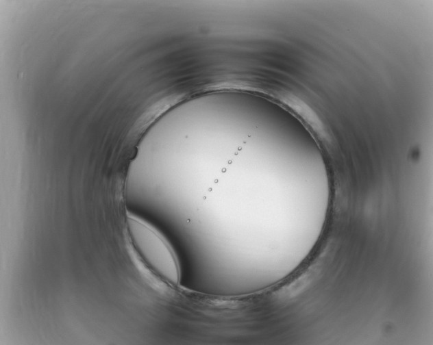 X0000092230849200709140940