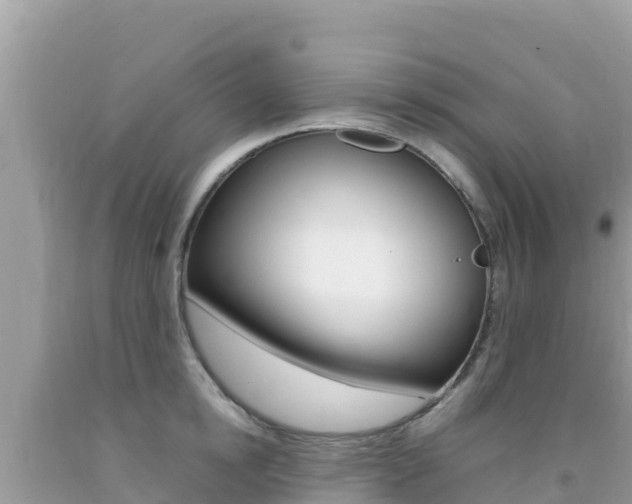 X0000092230854200709140940