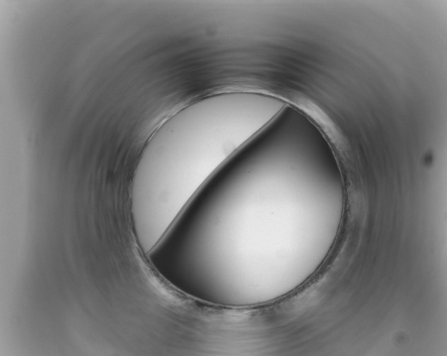 X0000092230857200709140940