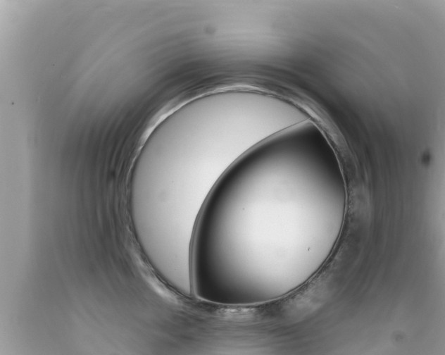 X0000092230858200709140940