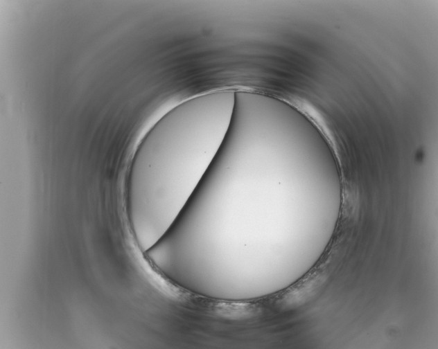 X0000092230859200709140940