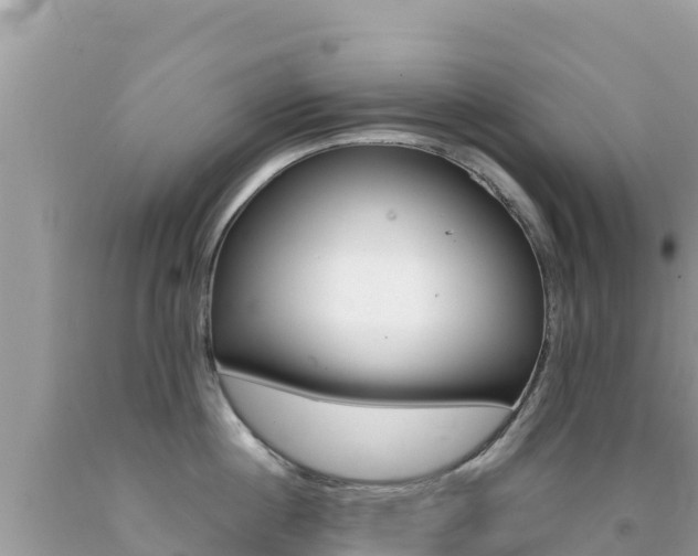 X0000092230860200709140940