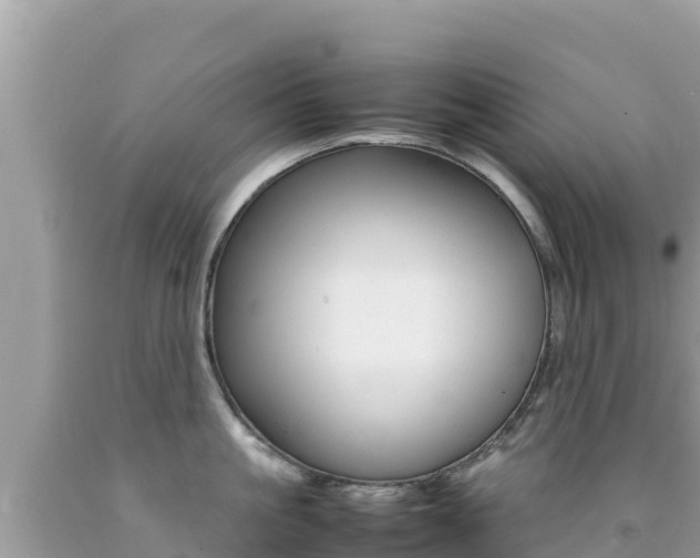X0000092230861200709140940