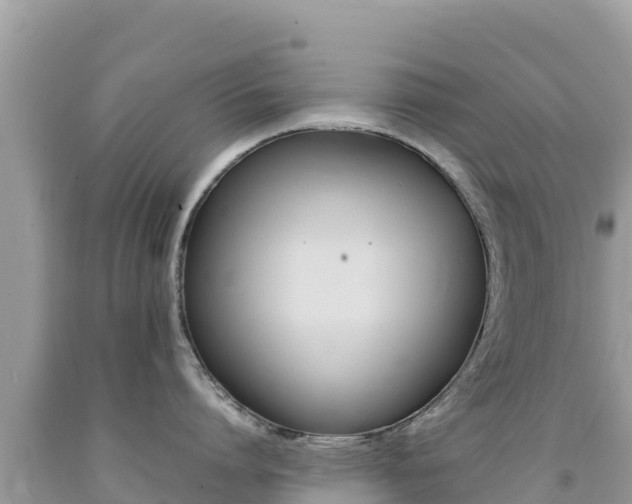 X0000092230864200709140940