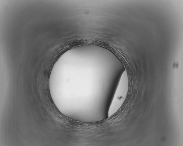 X0000092230865200709140940