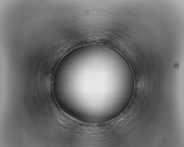 X0000092230868200709140940