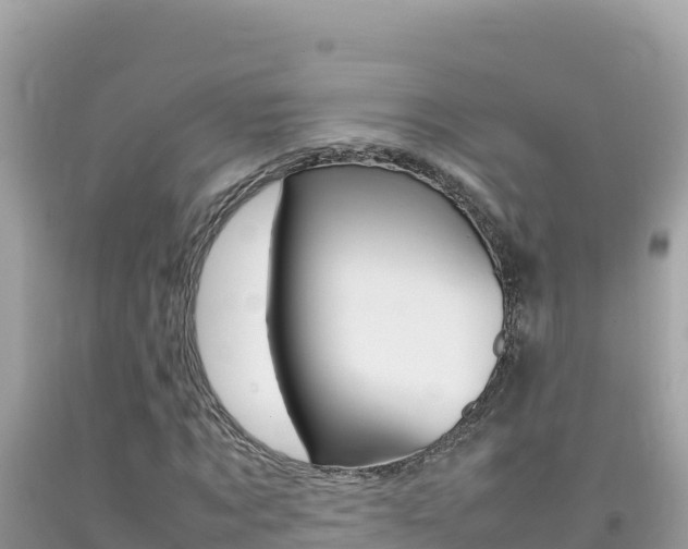 X0000092230869200709140940