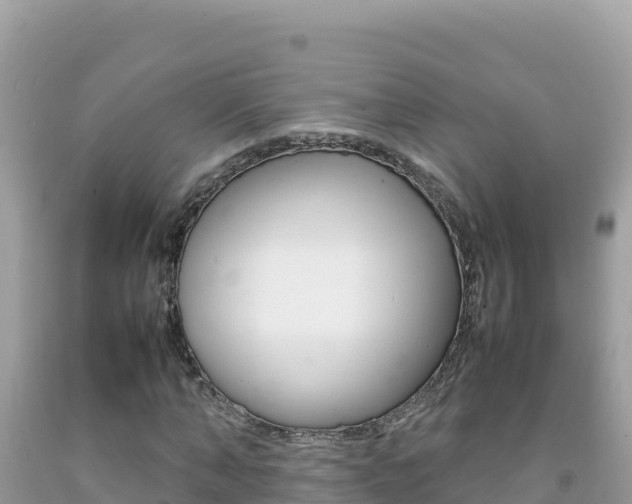 X0000092230870200709140940
