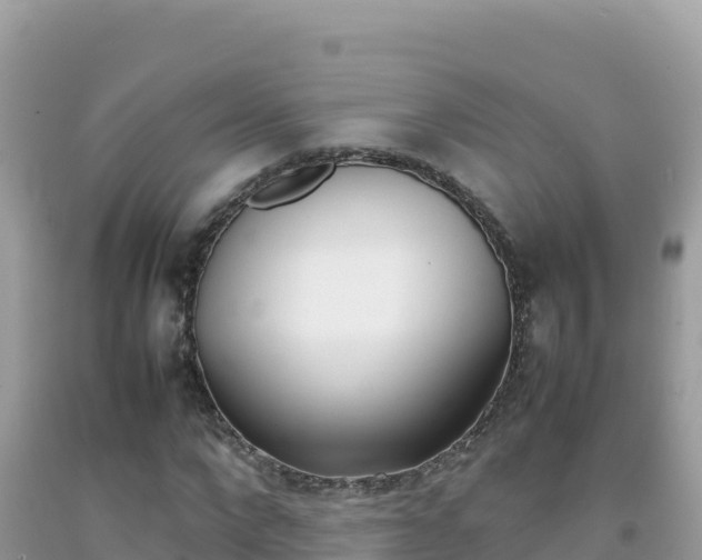 X0000092230872200709140939