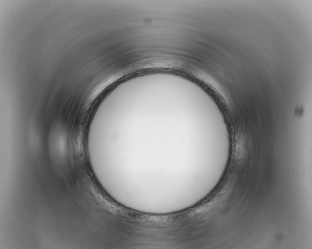 X0000092230874200709140939