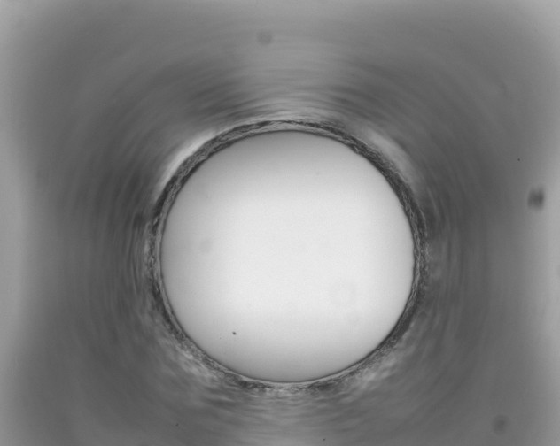 X0000092230875200709140939