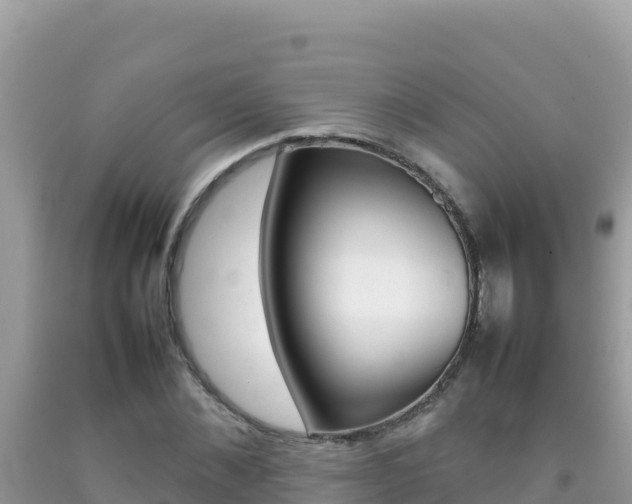 X0000092230876200709140939