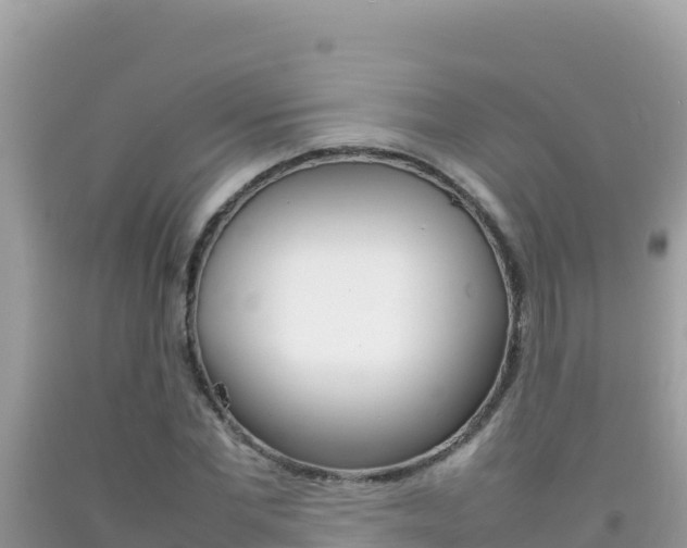 X0000092230877200709140939