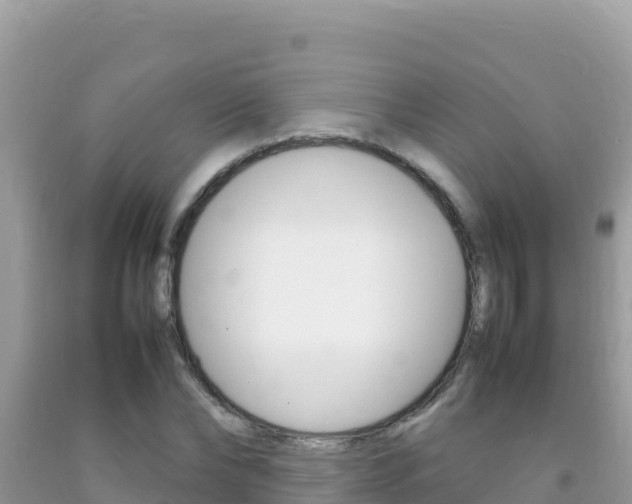 X0000092230878200709140939