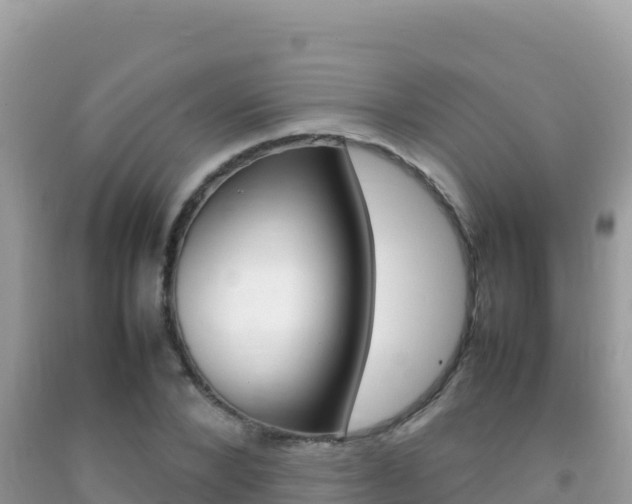 X0000092230880200709140939