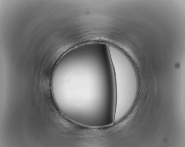 X0000092230881200709140939