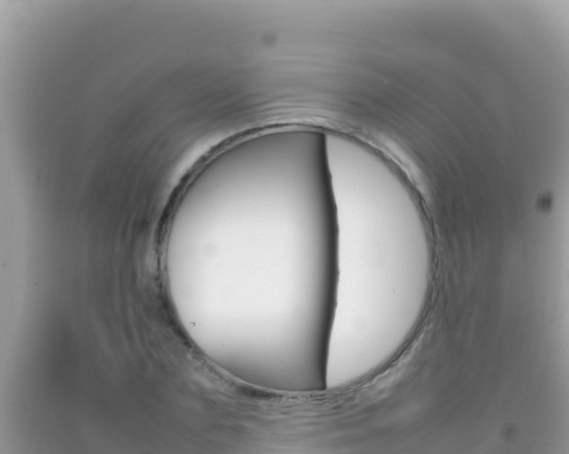 X0000092230883200709140939
