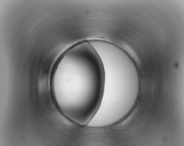 X0000092230884200709140939