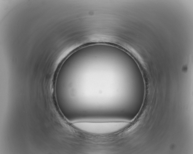 X0000092230885200709140939