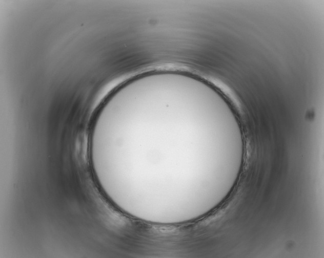 X0000092230886200709140939