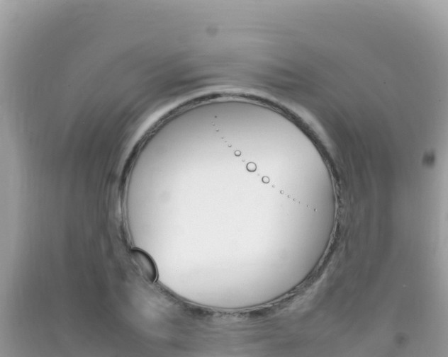 X0000092230887200709140939