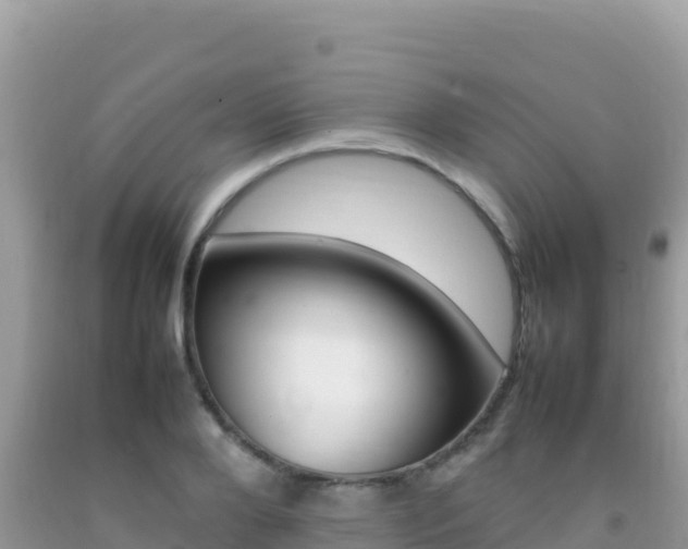 X0000092230888200709140939