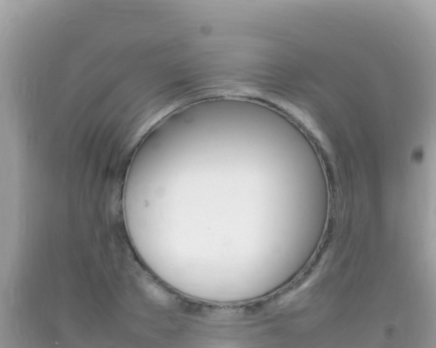 X0000092230889200709140939