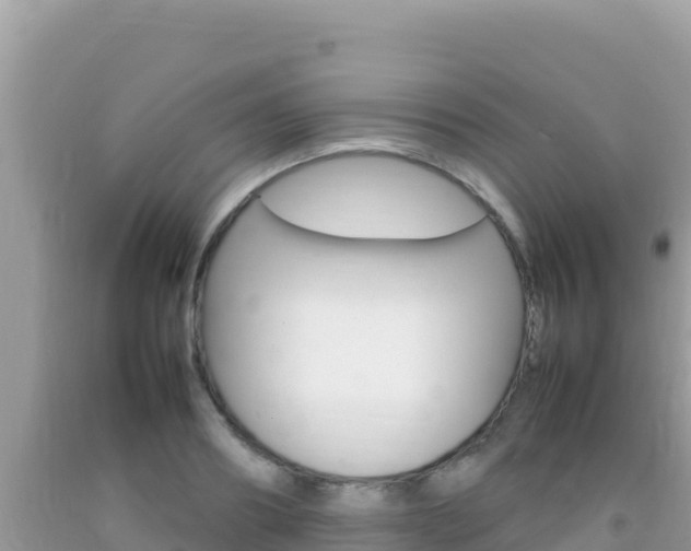 X0000092230890200709140939