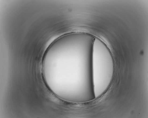 X0000092230891200709140939
