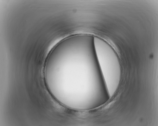 X0000092230893200709140939