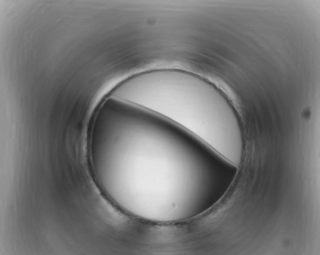 X0000092230894200709140939