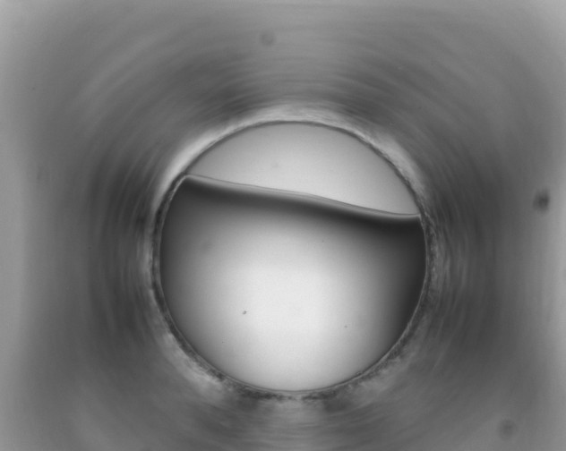 X0000092230896200709140939