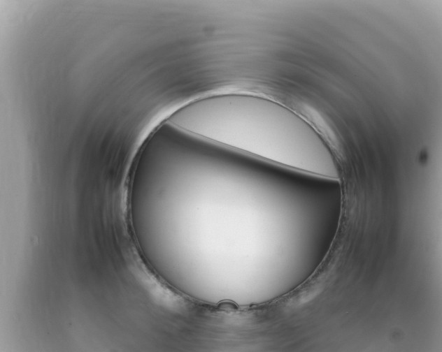 X0000092230900200709140939