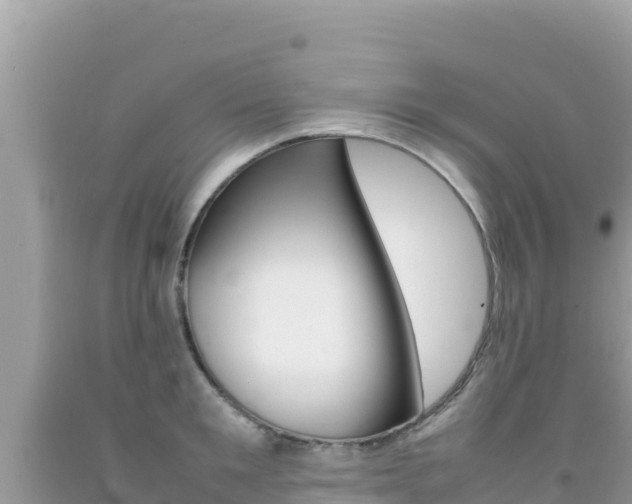 X0000092230901200709140939