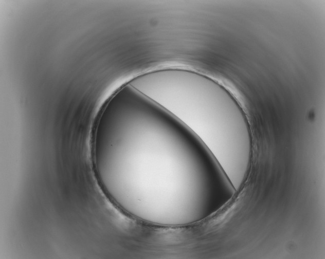 X0000092230902200709140939