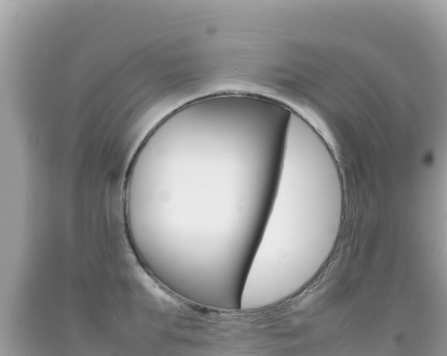 X0000092230903200709140939