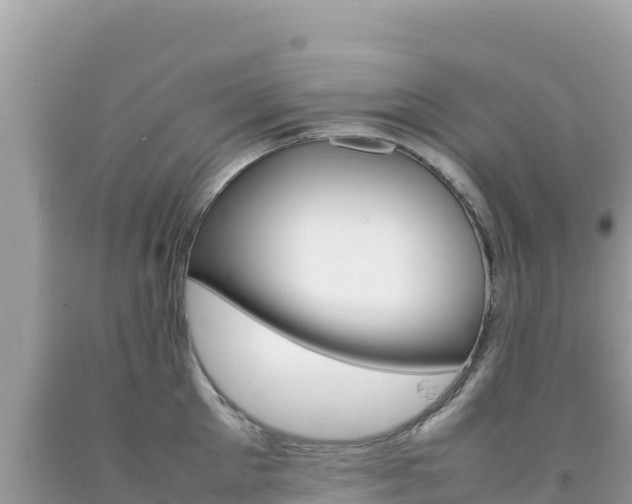 X0000092230905200709140939