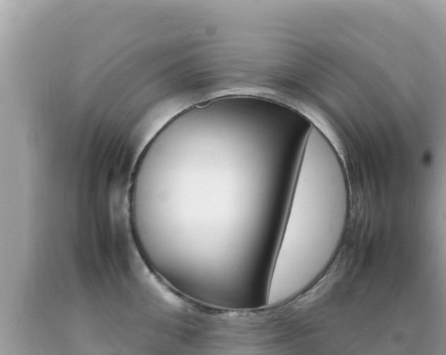 X0000092230906200709140939