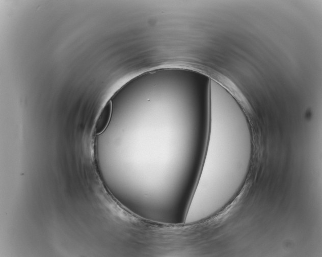 X0000092230908200709140939