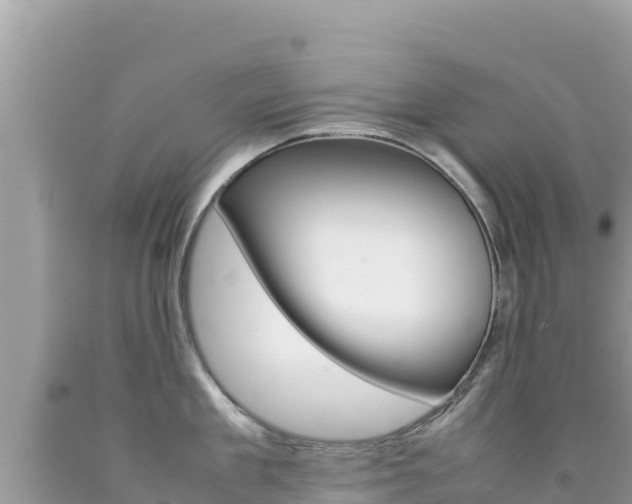 X0000092230909200709140939