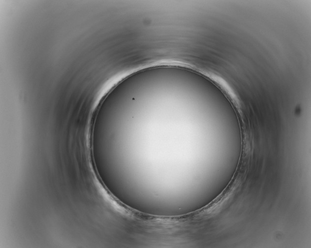 X0000092230910200709140939