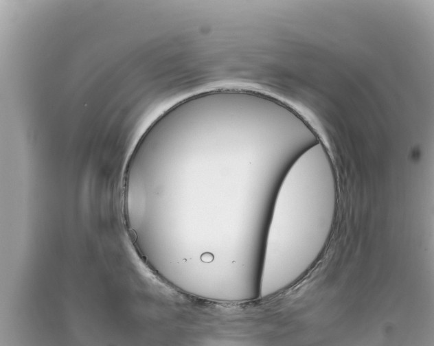 X0000092230911200709140939