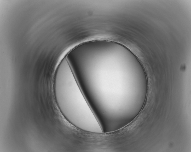 X0000092230912200709140939