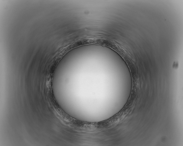 X0000092230914200709140938