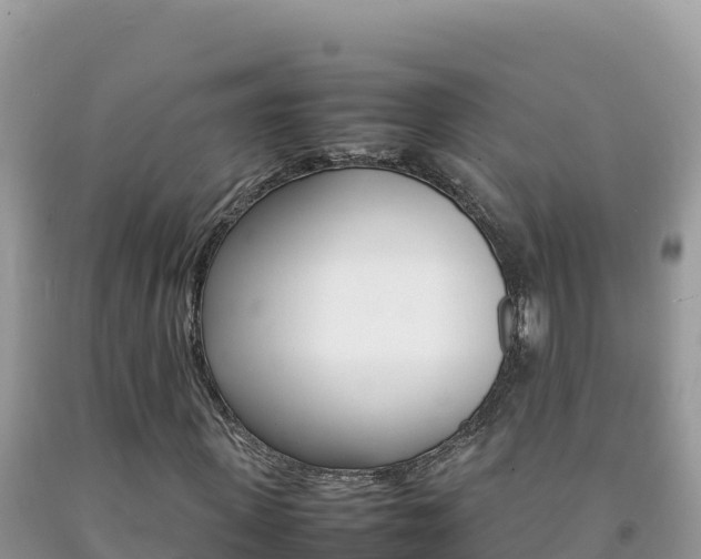 X0000092230915200709140938