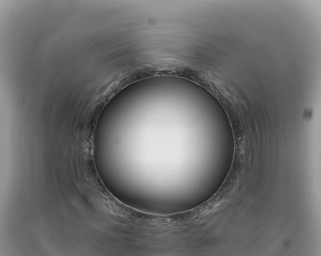 X0000092230916200709140938